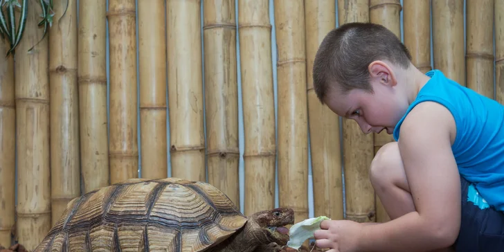 Nakrmte krokodýly: VIP vstupenka pro 1 či 2 osoby do Krokodýlí Zoo