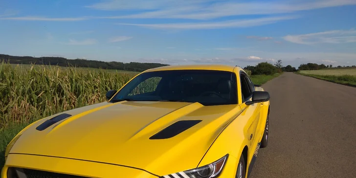 Jízda ve Fordu Mustang GT 5.0: 20 min. spolujízdy nebo až 60 min. řízení