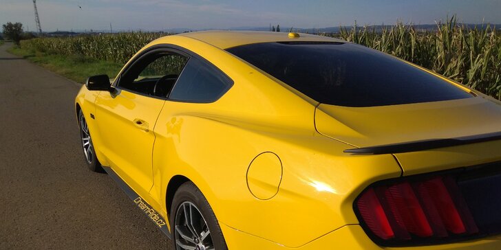 Jízda ve Fordu Mustang GT 5.0: 20 min. spolujízdy nebo až 60 min. řízení
