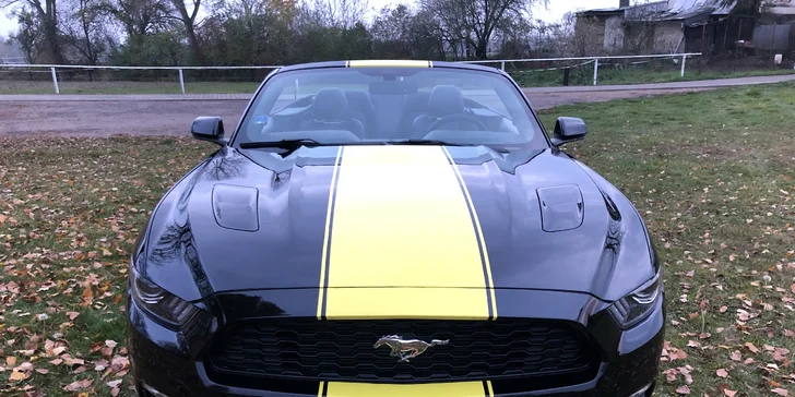 Ford Mustang GT 5.0 V8 Cabrio k zapůjčení na 6, 12 nebo 24 hodin