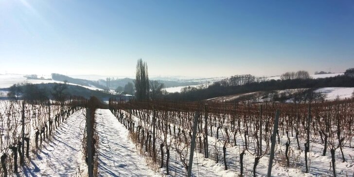 Víkendové zážitky ve vinařství Krýsa: ráj milovníků jižní Moravy, jídla a vína