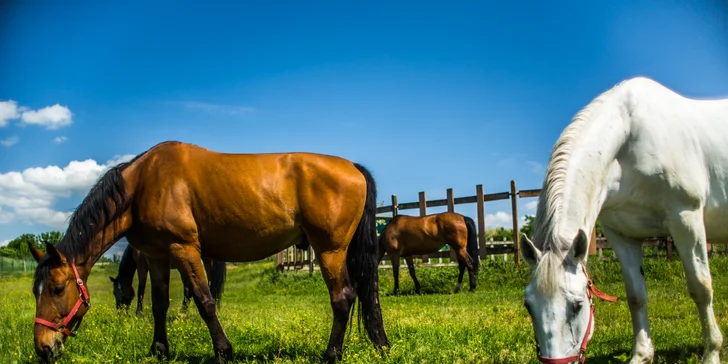 Lázeňský pobyt na Slovensku s plnou penzí, wellness a až 10 procedurami