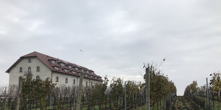 Pobyt na jižní Moravě: ubytování mezi vinicemi, polopenze, degustace vína i zabijačka
