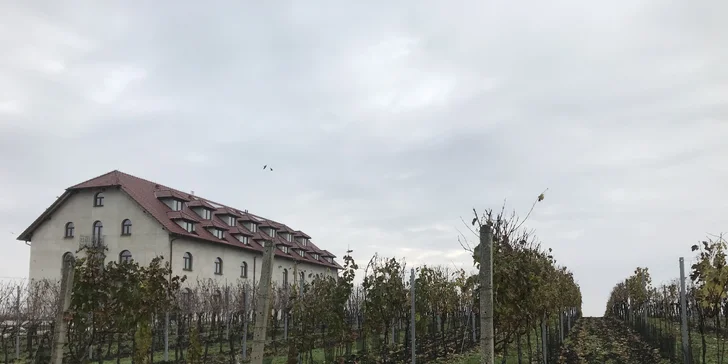 Relax na jižní Moravě: ubytování mezi vinicemi, polopenze a víno