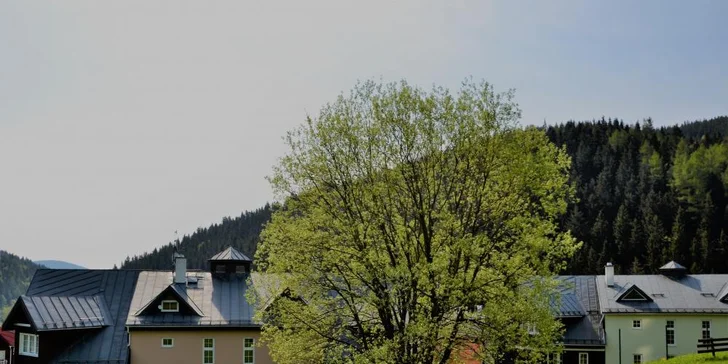 V zimě na lyže, v létě na túru: pobyt v prostorném Apartmánu pod horizontem v centru Pece pod Sněžkou