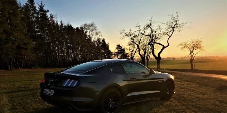 Rozjeďte to v žihadle Ford Mustang GT 5.0 na 15 až 60 minut