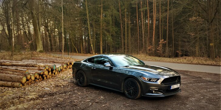 Rozjeďte to v žihadle Ford Mustang GT 5.0 2017 až na 60 minut