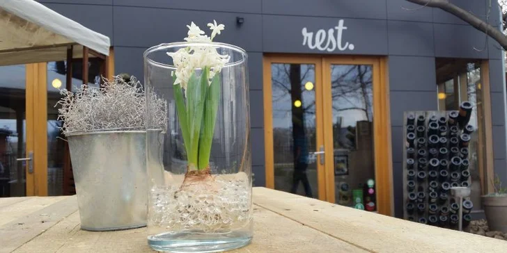 3 nebo 5 chodů v podolské restauraci: grilované kalamáry, hovězí chuck roll a další dobroty s vínem či bez