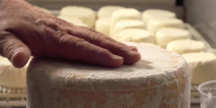 Food Film Fest: filmová podívaná s ochutnávkami, diskuzemi a taškou dárků