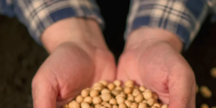 Food Film Fest: filmová podívaná s ochutnávkami, diskuzemi a taškou dárků