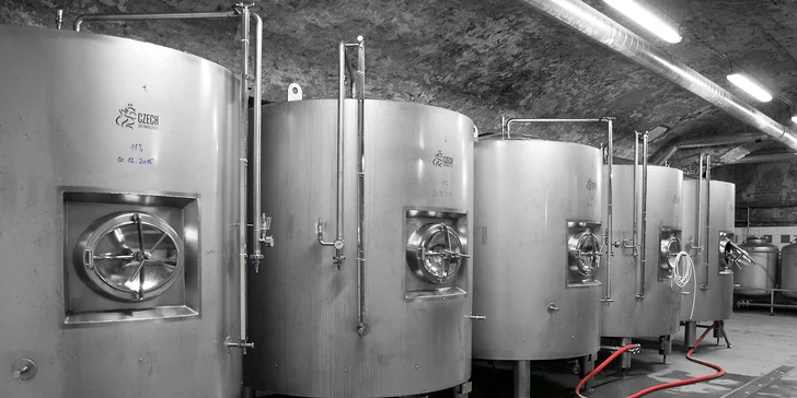 Komentovaná prohlídka znojemského pivovaru s degustací piva i žebry