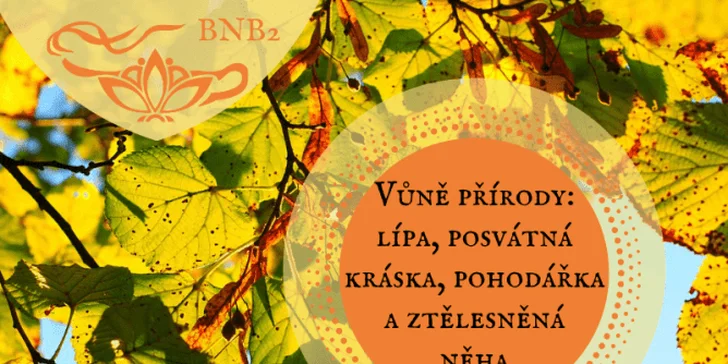 Bylinky našich babiček: online vzdělávací program plný rad a tipů