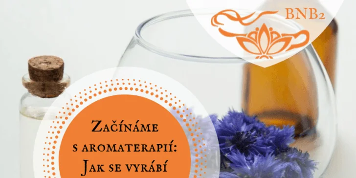 Bylinky našich babiček: online vzdělávací program plný rad a tipů