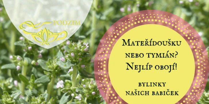 Bylinky našich babiček: online vzdělávací program plný rad a tipů