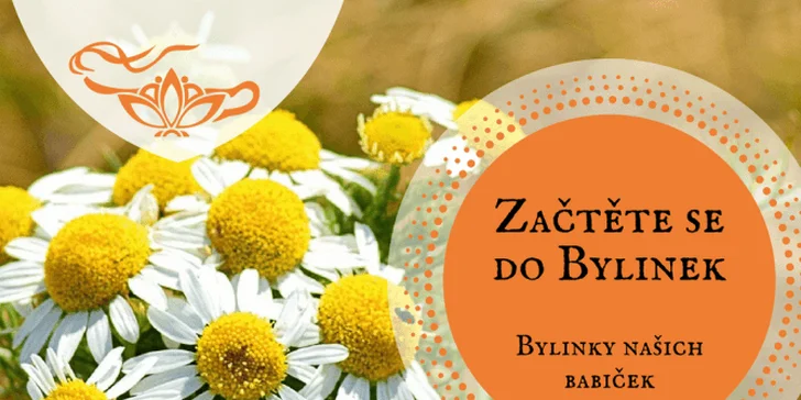 Bylinky našich babiček: online vzdělávací program plný rad a tipů