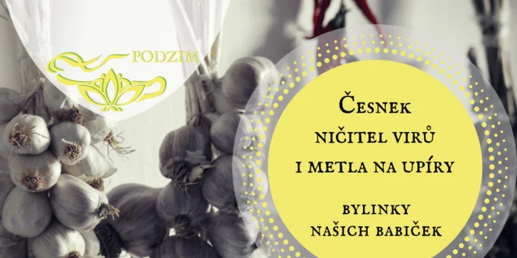 Bylinky našich babiček: online vzdělávací program plný rad a tipů