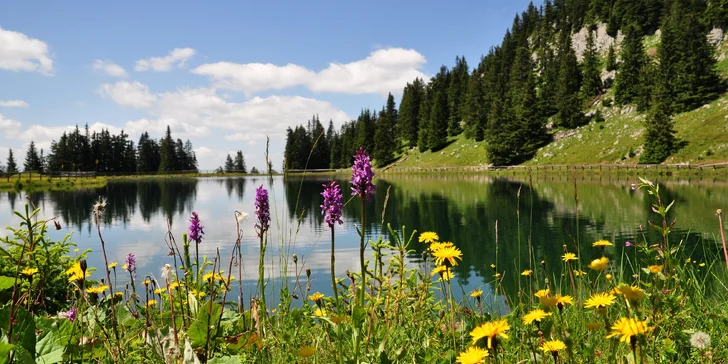 Soutěska Wasserlochklamm a nejvyšší vrchol Göstlingských Alp: Hochkar