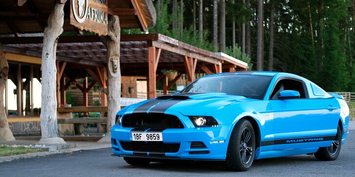Mustang podle výběru na 1 až 12 hod.: 3.7 Shelby nebo 3.7 Cabrio