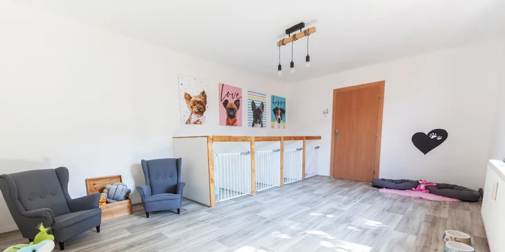 Hlídání pejska s rozvrhem a předměty: vstupy na 1, 10 nebo 20 dní