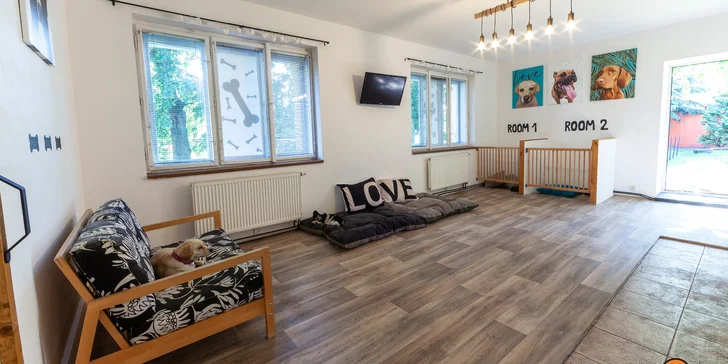 Hlídání pejska s rozvrhem a předměty: vstupy na 1, 10 nebo 20 dní