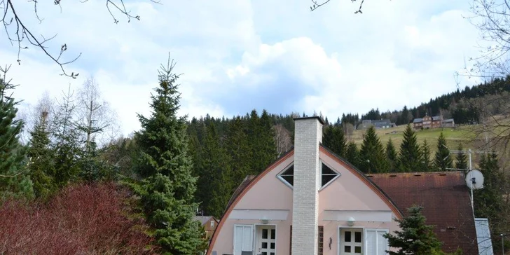 Dovolená v srdci Krkonoš: plně vybavený Apartmán Holiday Pec pro 4–6 osob, zahrada, gril