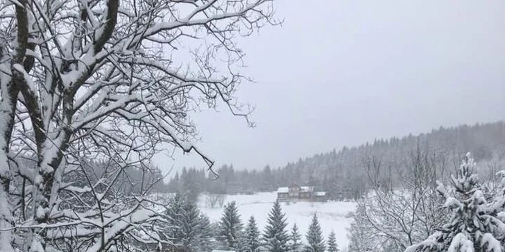 Dovolená v srdci Krkonoš: plně vybavený Apartmán Holiday Pec pro 4–6 osob, zahrada, gril