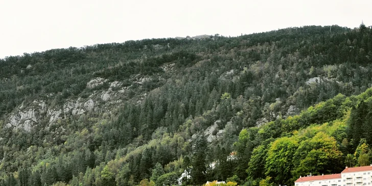 Letecký zájezd do Bergenu, Vossevangenu i k norským fjordům s ubytováním a snídaní