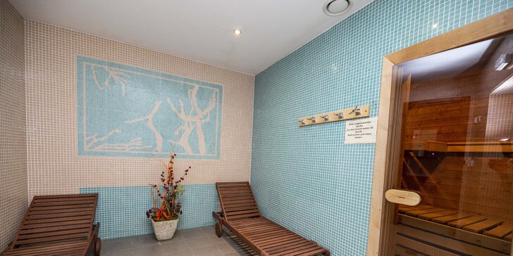 Relax ve špičkovém 4* hotelu Sun: wellness procedury, polopenze a bazén