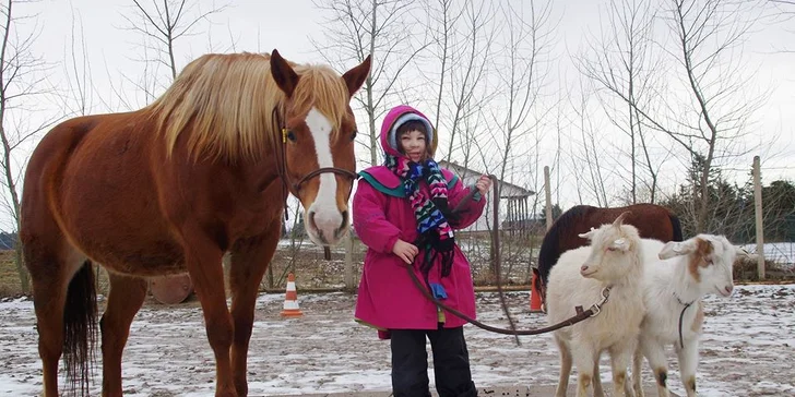 Jarní jezdecký týdenní tábor s programem a ubytováním na farmě