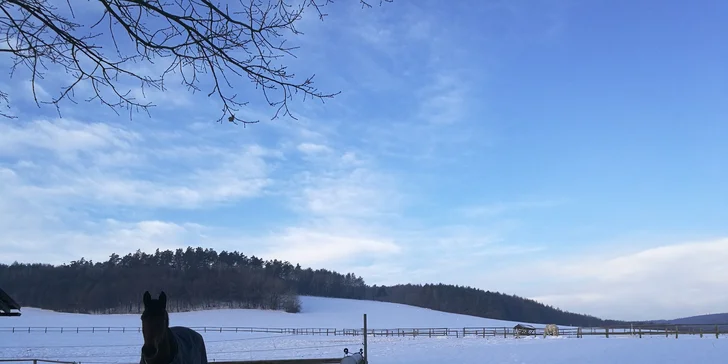 Pobyt na rodinné farmě se snídaní či polopenzí vč. varianty s degustací