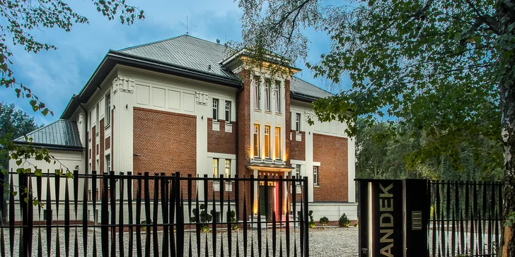 Pobyt se snídaní i wellness v privátní prvorepublikové Vile Na Landeku