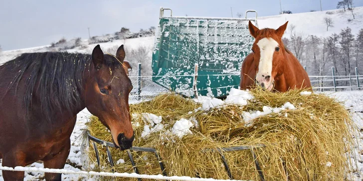 Pobyt na rodinné farmě se snídaní či polopenzí vč. varianty s degustací