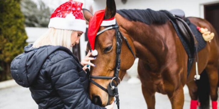 Svátky ve společnosti koní: Zážitkový pobyt u koní pro 1 či 2 osoby