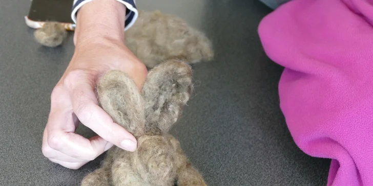 Kurzy suchého a mokrého plstění: vytvořte si šperky, vlněné zvířátko či vílu