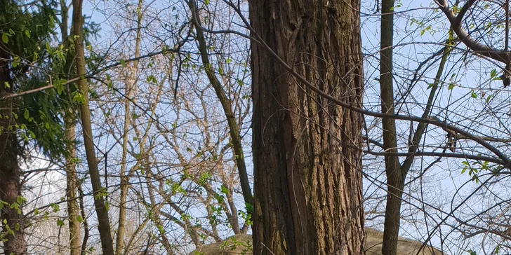 Navštivte park plný dinosaurů a zábavy: 2denní vstup do polského Zatorlandu