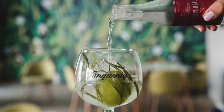 Degustace 3 drinků: Gin Tonic, Sour nebo Mule (Ginger Beer)