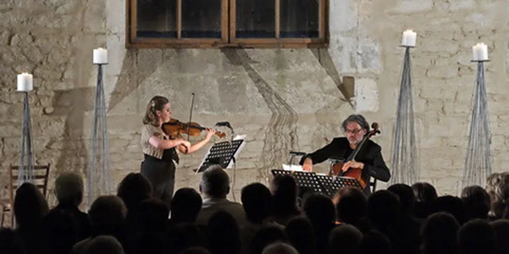 Vstupenka na Jiřího Bártu - violoncello