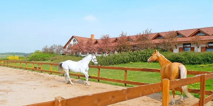 Sport i lenošení v areálu K-Triumf ve Velichovkách