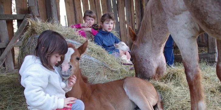 Jarní jezdecký týdenní tábor s programem a ubytováním na farmě