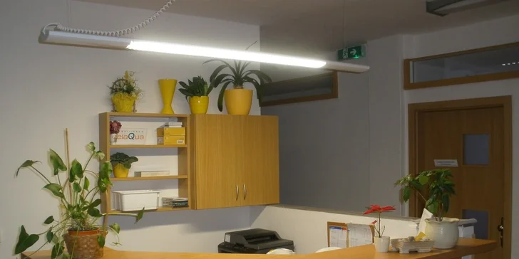 Reflexní terapie zón na nohách či léčebná klasická masáž zad