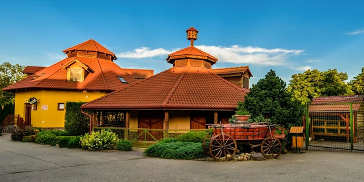 Dovolená na ranči v Novém Tekově: Koně, polopenze, bowling i wellness
