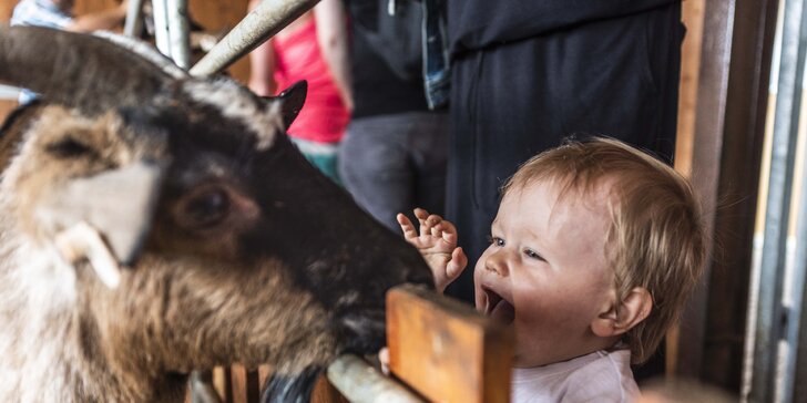 Rodinný vstup do Farmaparku Soběhrdy včetně atrakcí a krmení zvířátek