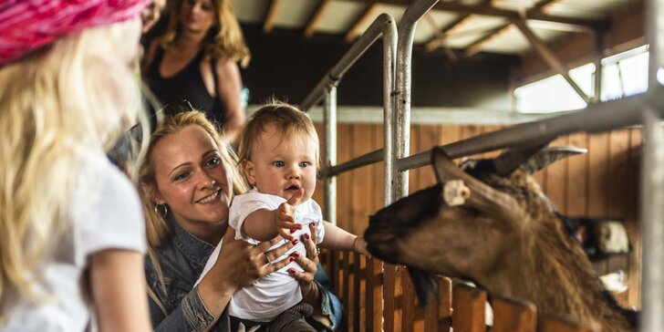 Rodinný vstup do Farmaparku Soběhrdy včetně atrakcí a krmení zvířátek