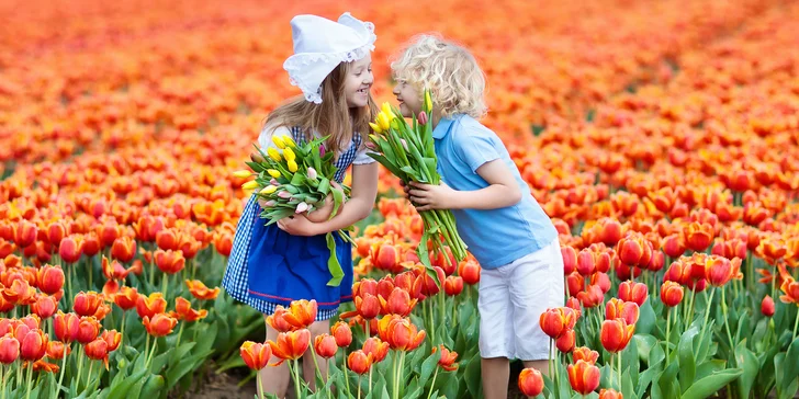 Jarní Amsterdam: doprava a ubytování se snídaní na 1 noc, květinový park Keukenhof i skanzen s větrnými mlýny