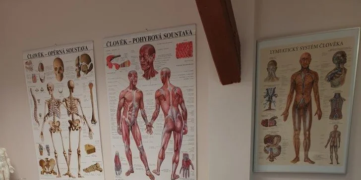 Podpořte hojení: ošetření vysokovýkonným laserem či rázovou vlnou