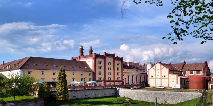 Prohlídka pivovaru Regent a slepá degustace piva i s originální sklenicí