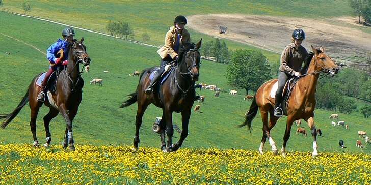 Pobyty na koňské farmě Vysoká: snídaně či polopenze, relaxace i vyjížďky