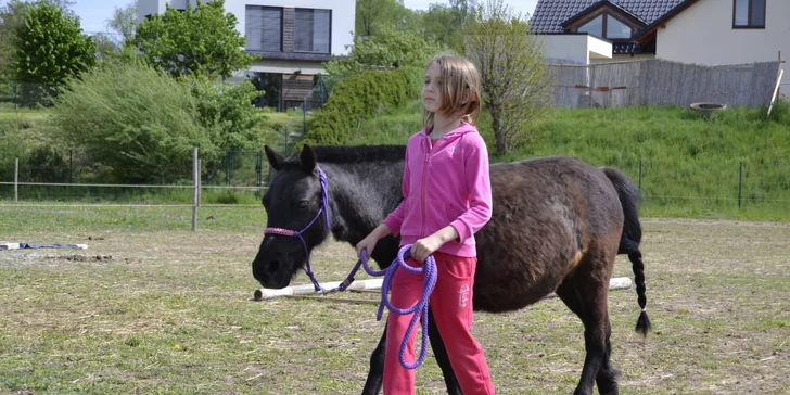 Letní příměstský tábor u koní s ježděním pro začátečníky i pokročilé