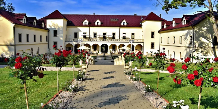 Zámecká relaxace v Chateau Kynšperk: polopenze, wellness i solná jeskyně