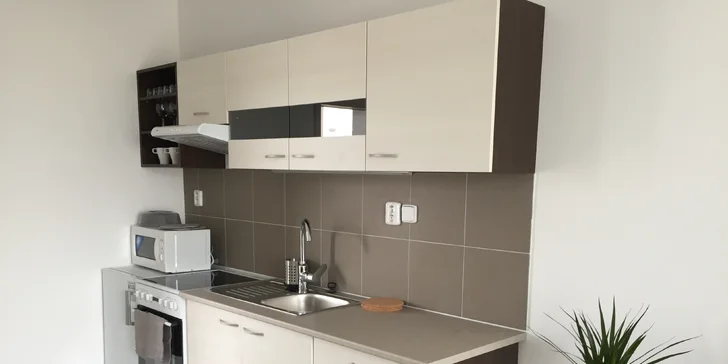 Pobyt na jižní Moravě: pokoj či rodinný apartmán, snídaně a láhev vína